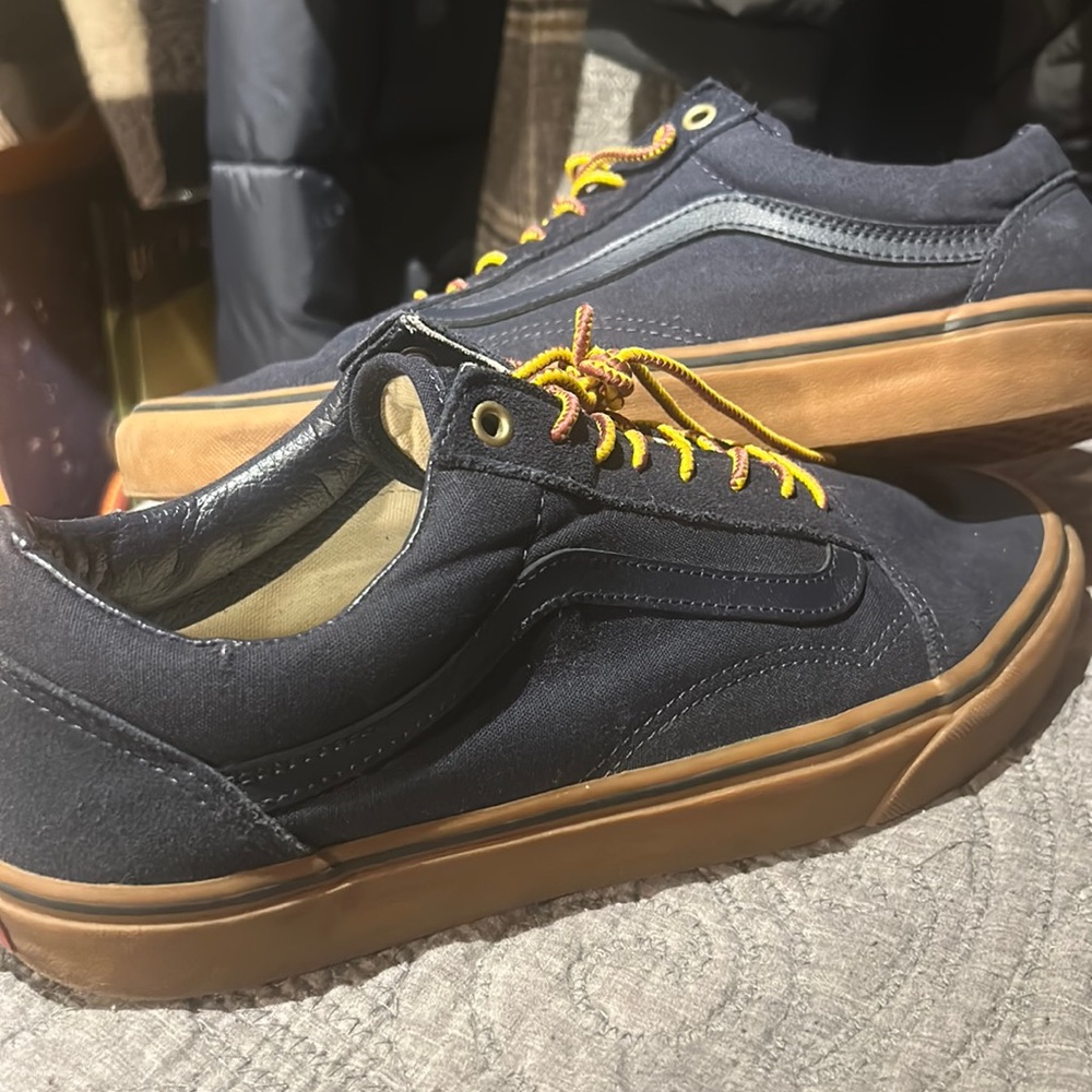 Vans® Atwood Men's Skate Shoes